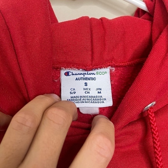 Vintage Champion University Wisconsin Hoodie Sweatshirt - Picture 4 of 5